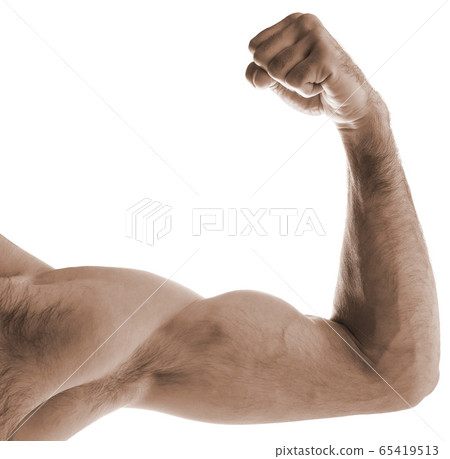 A muscular man's arm and shoulder flexing A muscular man's arm and shoulder flexing 65419513