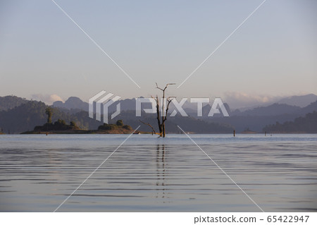 Khao Sok National Park, Surat Thani Province, Thailand 65422947