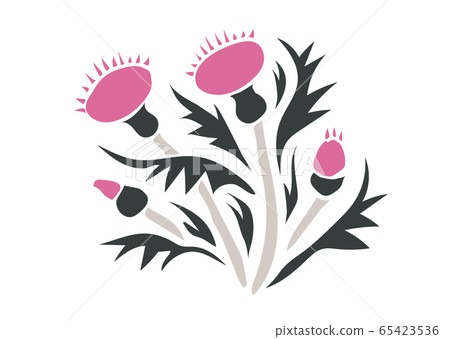 矢量日本素材簡單薊 65423536