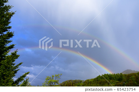 雙重彩虹（真人電影） 65423754