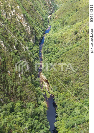 Garden Route, Cape Town, South Africa, Africa 65424311