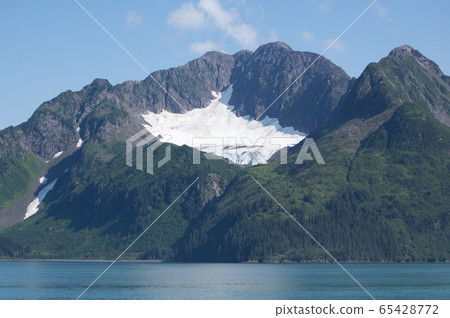 美國阿拉斯加基奈峽灣國家公園 65428772