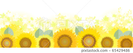 向日葵和黃色的花朵 65429486