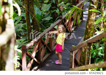 Child looking at flower in jungle. Child looking at flower in jungle. 65429821