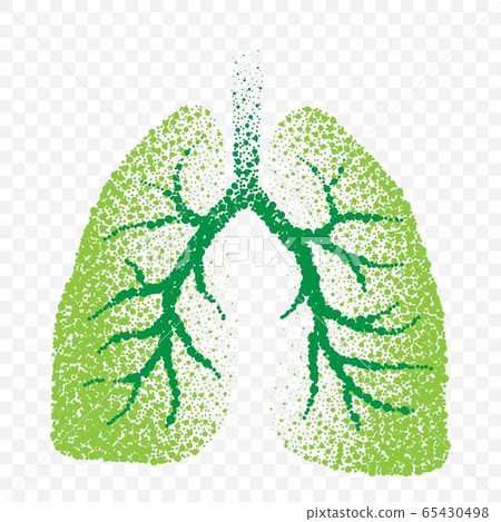 Healthy lungs dotted silhouete 65430498