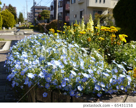 Uryu Seseragi人行道(多摩市海濱長廊) Uryu Seseragi人行道(多摩市海濱長廊) 65431158
