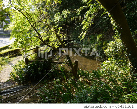 Karakida no Michi Teranoiri Spring 65431161