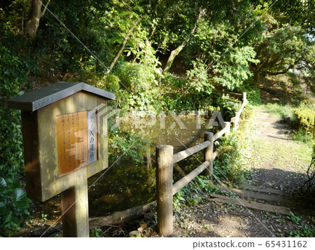 Karakida no Michi Teranoiri Spring 65431162