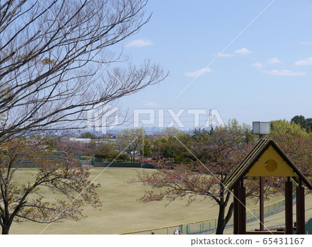 稻城中央公園 65431167