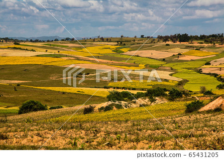 Fields in the central highlands of Myanmar Fields in the central highlands of Myanmar 65431205