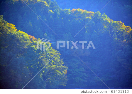 Gentle mountain range on the shores of Lake Sagami 65431513