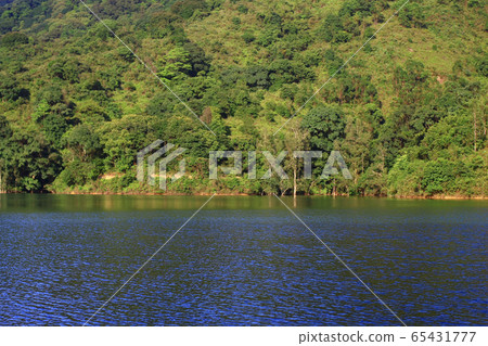 3 Aug 2008 Shing Mun Reservoir. Country Park, Hong 65431777