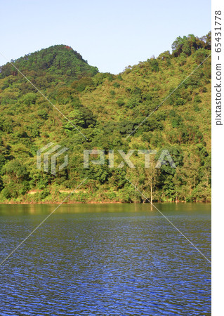 3 Aug 2008 Shing Mun Reservoir. Country Park, Hong 65431778