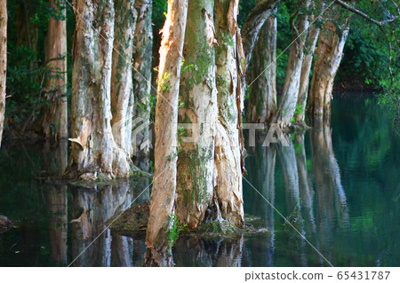 3 Aug 2008 the Mirror in Shing Mun Country Park 65431787