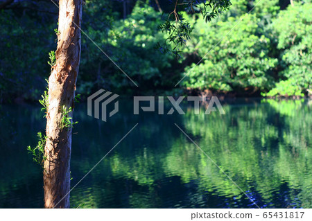 3 Aug 2008 the Mirror in Shing Mun Country Park 3 Aug 2008 the Mirror in Shing Mun Country Park 65431817