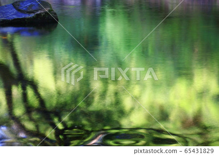 3 Aug 2008 a River in Shing Mun Reservoir, Hong 3 Aug 2008 a River in Shing Mun Reservoir, Hong 65431829