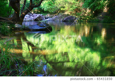 3 Aug 2008 a River in Shing Mun Reservoir, Hong 65431850