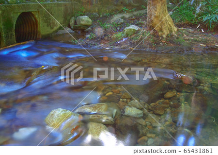 3 Aug 2008 a River in Shing Mun Reservoir, Hong 65431861
