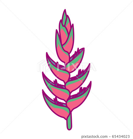 vector cute drawn plant clipart vector cute drawn plant clipart 65434023