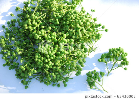 朝倉sansho 65436005