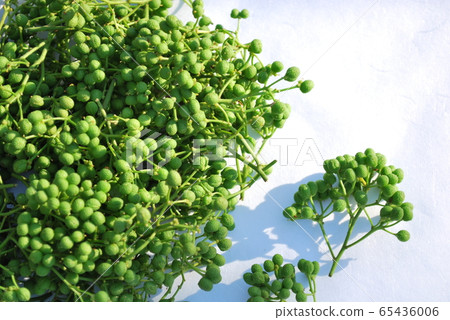 Asakura sansho Asakura sansho 65436006