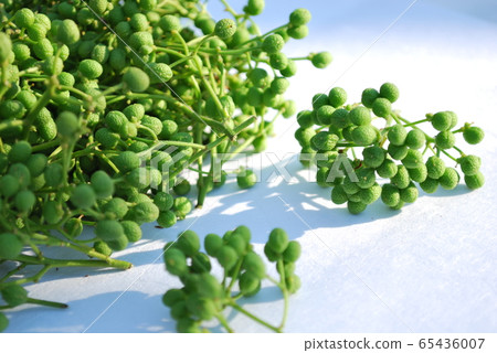 Asakura sansho Asakura sansho 65436007