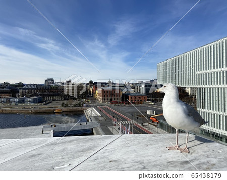 奧斯陸歌劇院 65438179