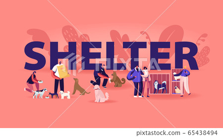 Rehabilitation Or Adoption Center For Stray Stock Illustration