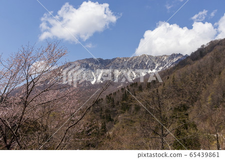 National Park Daisen _ South wall _ View from the lock pass _ Spring 65439861