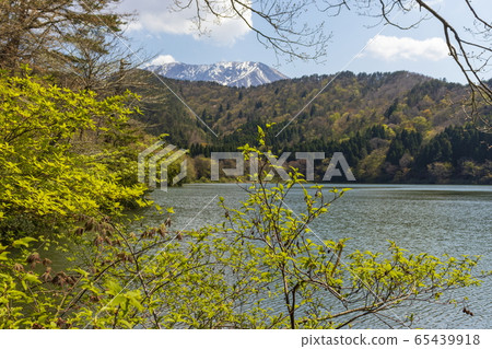 Ono Pond and National Park Oyama_Spring Ono Pond and National Park Oyama_Spring 65439918