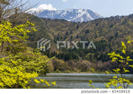 Ono Pond and National Park Oyama_Spring Ono Pond and National Park Oyama_Spring 65439919