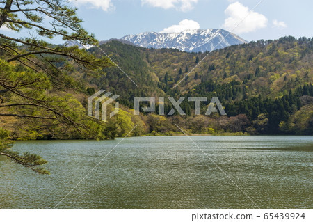 小野池和大山國家公園_春天 65439924