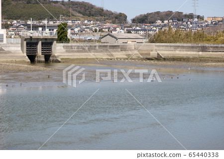 Sluice tidal flat natural scenery heron 65440338