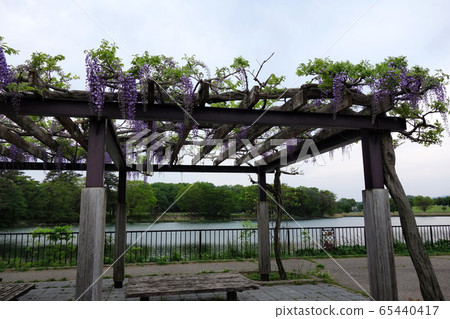 大室公園 65440417