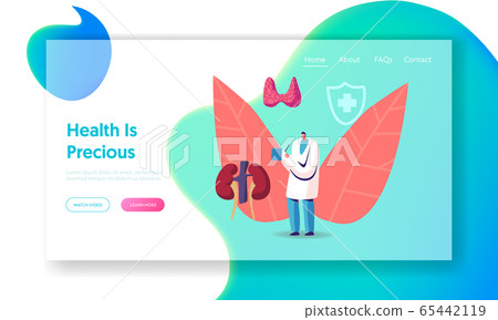 Medical Staff Endocrinology Health Care, Hormone Disease Disbalance Website Landing Page. Doctor Endocrinologist Medical Staff Endocrinology Health Care, Hormone Disease Disbalance Website Landing Page. Doctor Endocrinologist 65442119