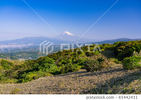 (Shizuoka Prefecture) Mt. Fuji seen from the Izu Skyline (Shizuoka Prefecture) Mt. Fuji seen from the Izu Skyline 65442431