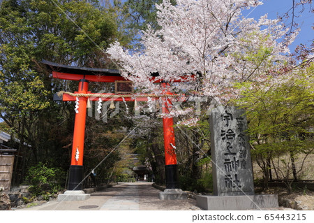 宇治神社 65443215