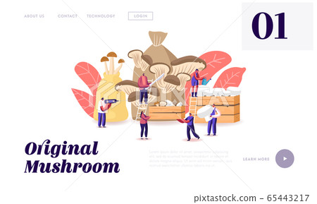 Tiny Characters Growing Mushrooms at Home Landing Page Template. Men and Women Gardening Hobby 65443217