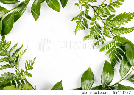Green frame with branches and leaves on white Green frame with branches and leaves on white 65443757