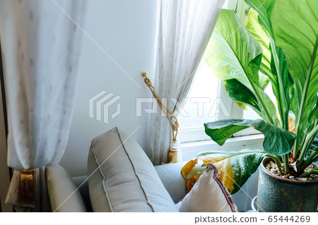 Living room decorated with trees Living room decorated with trees 65444269