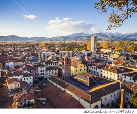 Panoramic view of Lucca medieval town with typical terracotta tiled roofs and narrow streets, Tuscany, Italy 65446350