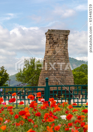 天城大罌粟 65446559