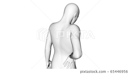 Low back pain 65446956