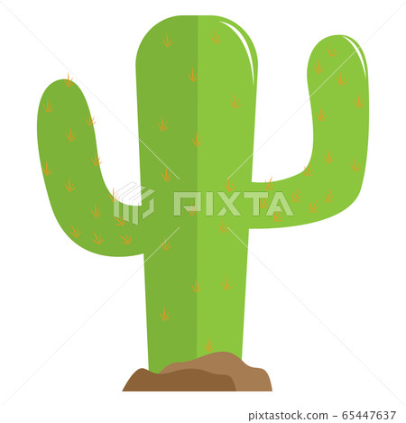 Isolated cactus icon Isolated cactus icon 65447637