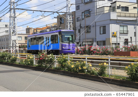 Toden Arakawa Line Rose season Toden Arakawa Line Rose season 65447901