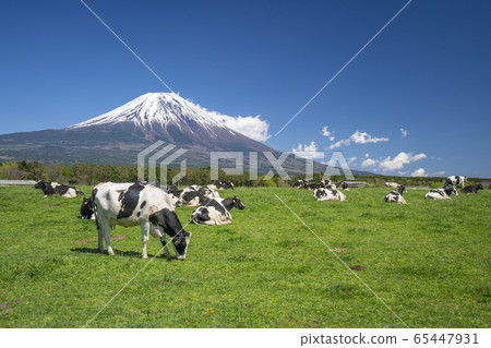 富士山牛肉 富士山牛肉 65447931