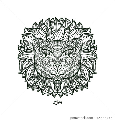 Vector illustration. Lion. 65448752