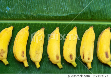 Flat lay layout of yellow bananas on a green 65449174
