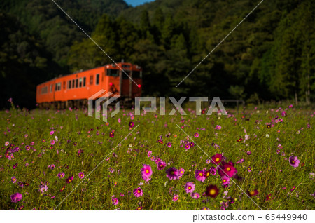 Local line 65449940