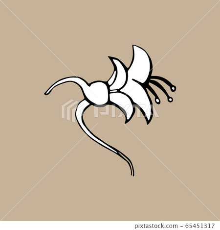 Doodle Tropical flower isolated on beige background. Hand drawn Vector illustration. Floral Design element Doodle Tropical flower isolated on beige background. Hand drawn Vector illustration. Floral Design element 65451317